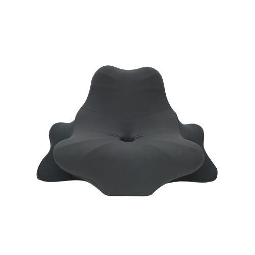 Neutron Ergonomic 6-in-1 Neck, Back, Shoulder Pillow